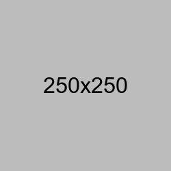 UI Develope